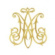 aplicacion ave maria