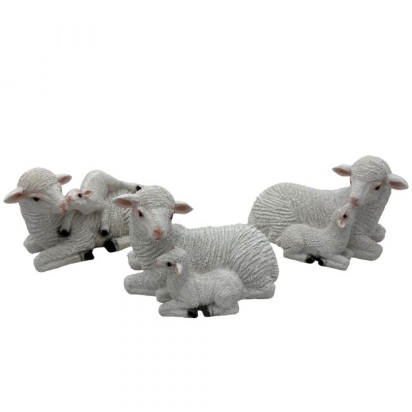 ovejas para nacimiento