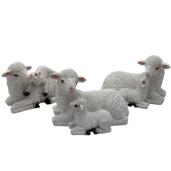 ovejas para nacimiento