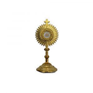 mini custodia